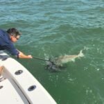 fishing charters, bottom fishing charters, deep sea fishing charter, offshore fishing, fishing trips
