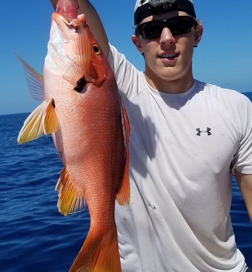 fishing charters, bottom fishing charters, deep sea fishing charter, offshore fishing, fishing trips