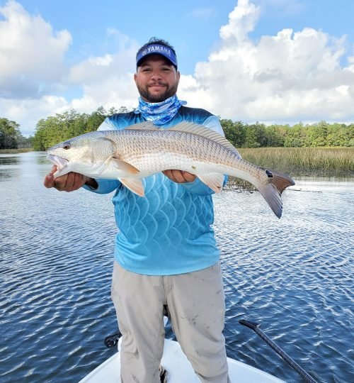 fishing charters, bottom fishing charters, deep sea fishing charter, offshore fishing, fishing trips