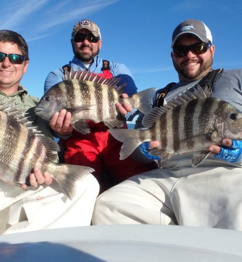 fishing charters, bottom fishing charters, deep sea fishing charter, offshore fishing, fishing trips