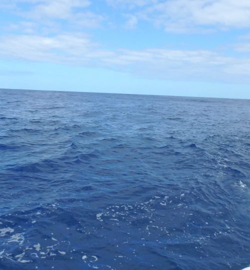 fishing charters, bottom fishing charters, deep sea fishing charter, offshore fishing, fishing trips