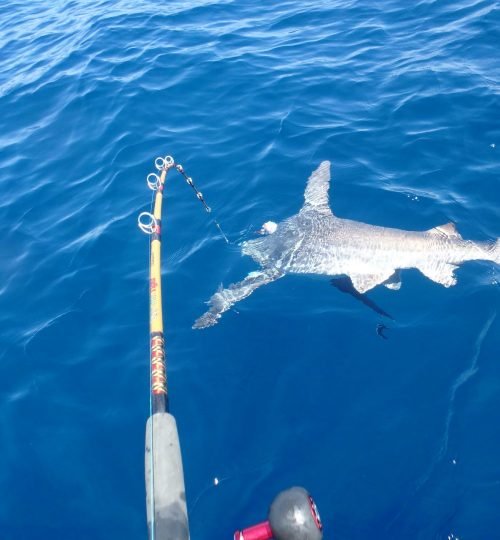 fishing charters, bottom fishing charters, deep sea fishing charter, offshore fishing, fishing trips